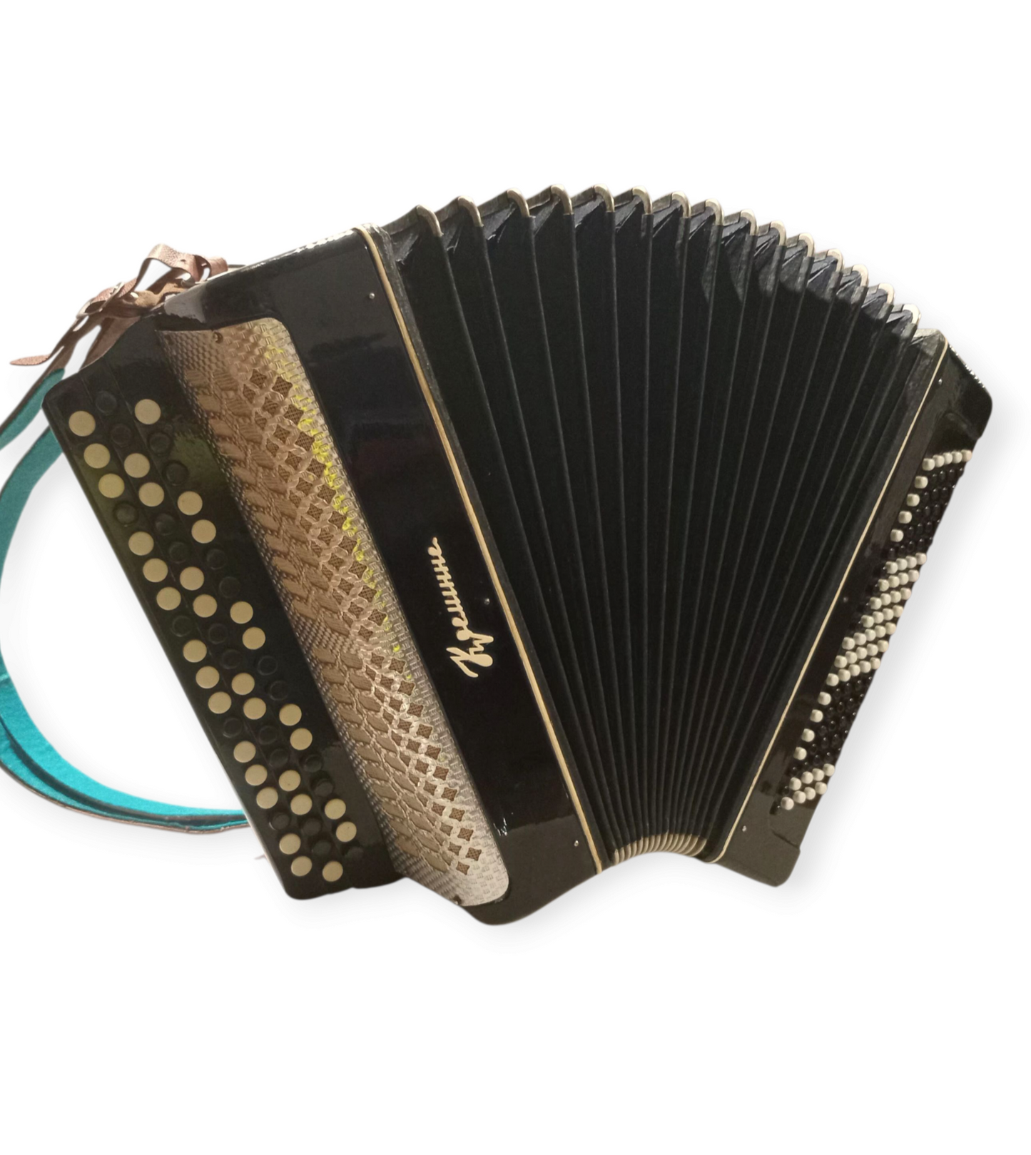Accordion Bayan Kremennoe