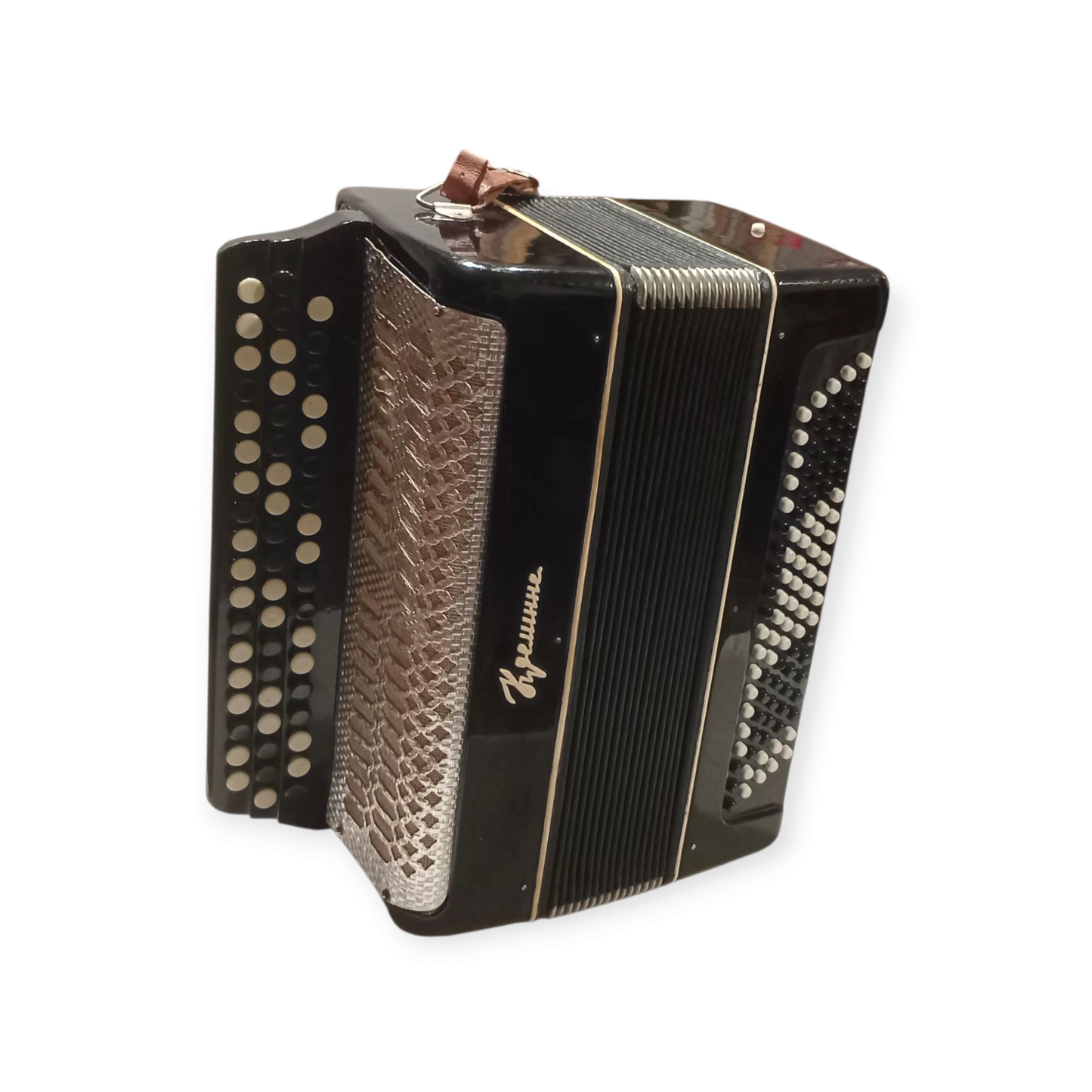 Accordion Bayan Kremennoe