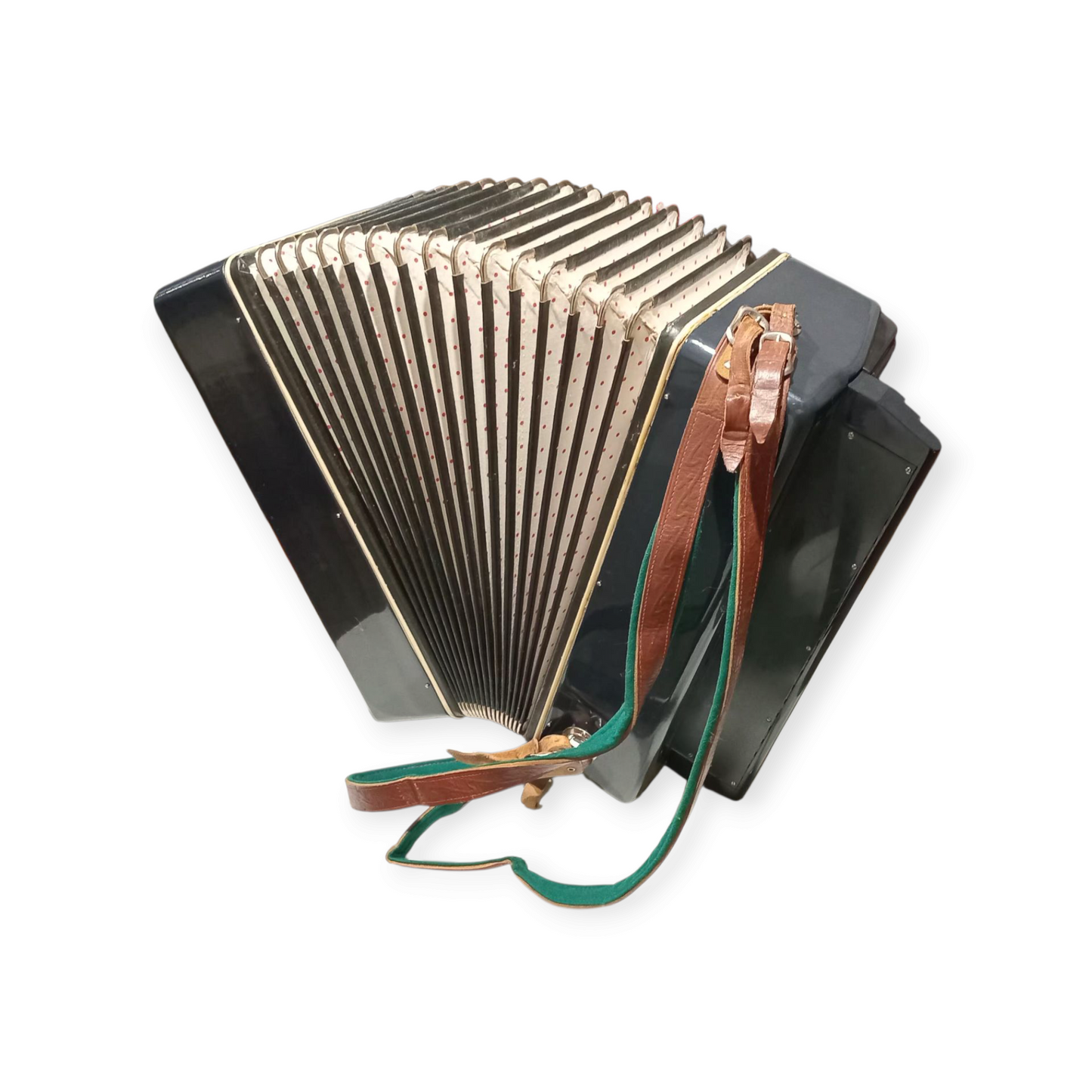 Accordion Bayan Mechta