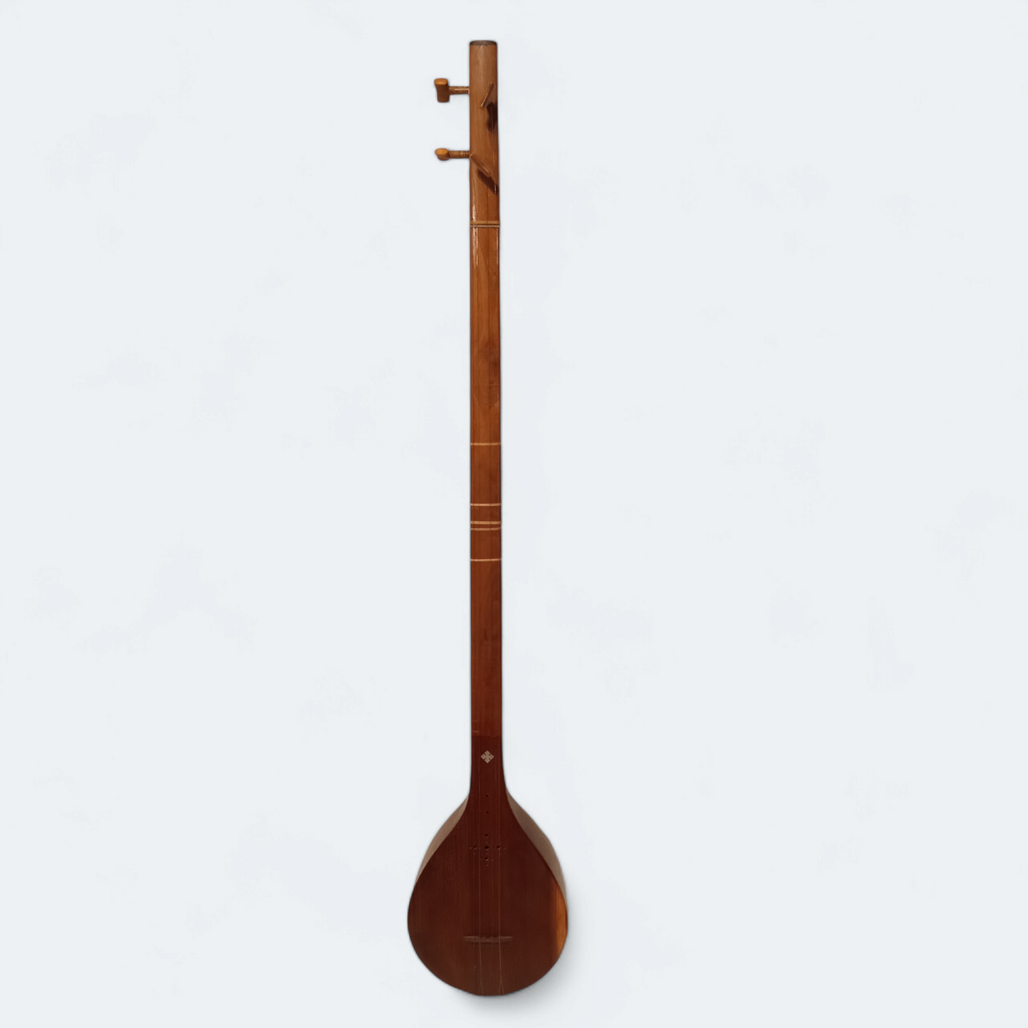 Setar Stringed Instrument