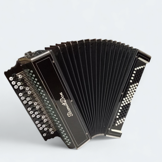 Accordion Bayan Rostov-Don