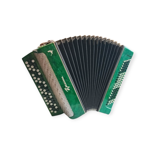 Accordion Bayan Kremennoe