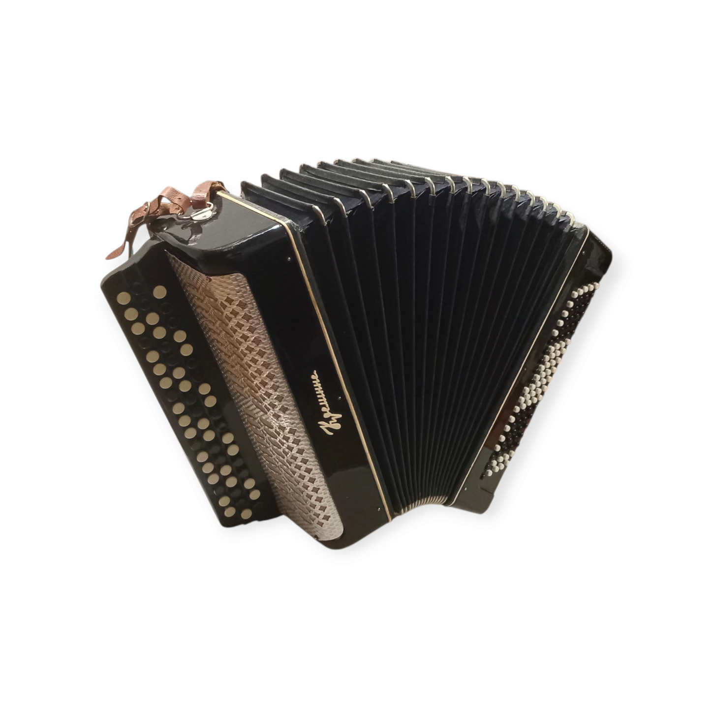Accordion Bayan Kremennoe