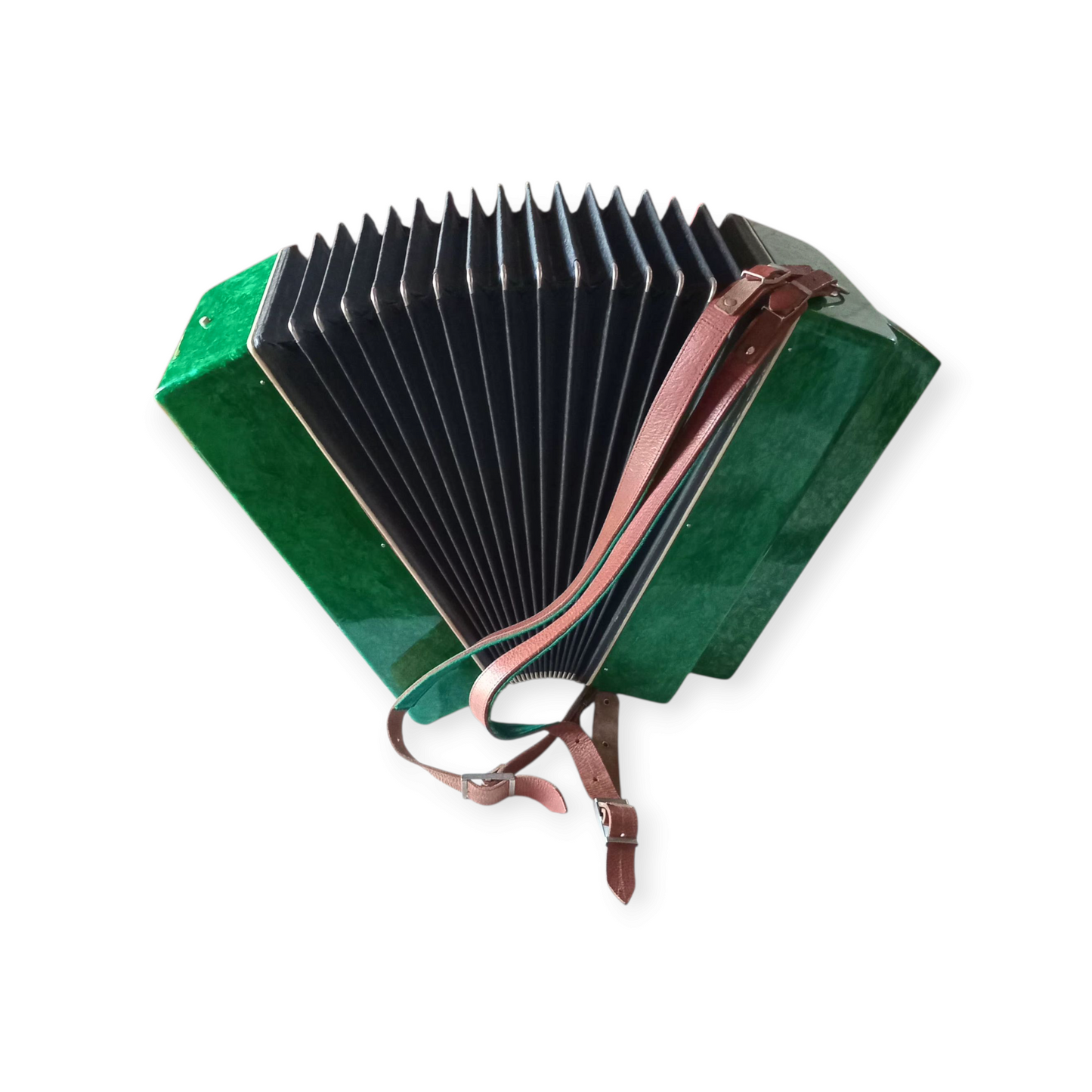 Accordion Bayan Kremennoe